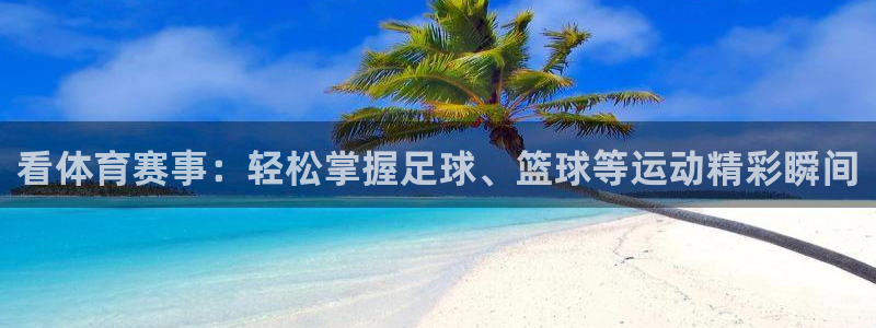 看体育赛事：轻松掌握足球、篮球等运动精彩瞬间