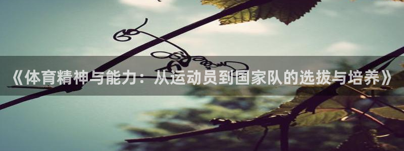 《体育精神与能力：从运动员到国家队的选拔与培养》
