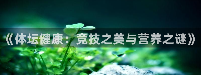 《体坛健康：竞技之美与营养之谜》
