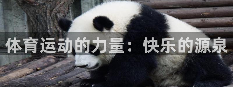 体育运动的力量：快乐的源泉