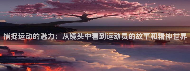 捕捉运动的魅力：从镜头中看到运动员的故事和精神世界