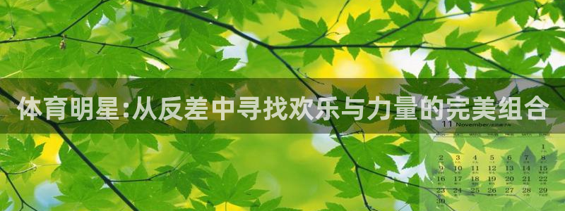 体育明星:从反差中寻找欢乐与力量的完美组合
