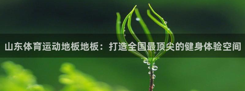 山东体育运动地板地板：打造全国最顶尖的健身体验空间