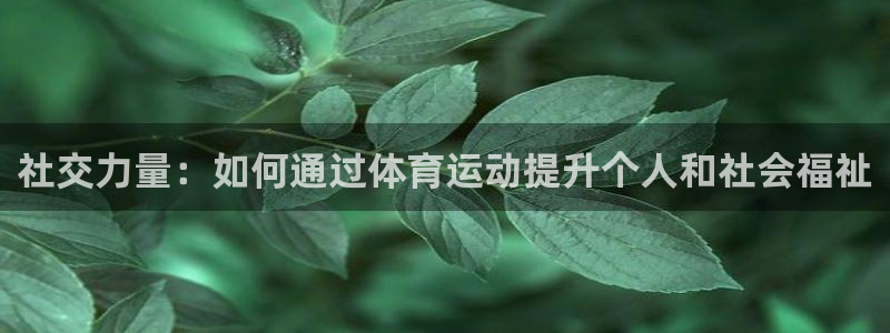 社交力量：如何通过体育运动提升个人和社会福祉