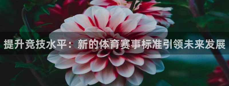 提升竞技水平：新的体育赛事标准引领未来发展