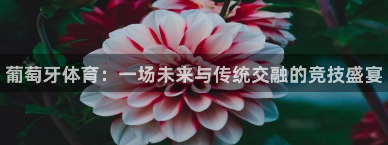 葡萄牙体育：一场未来与传统交融的竞技盛宴