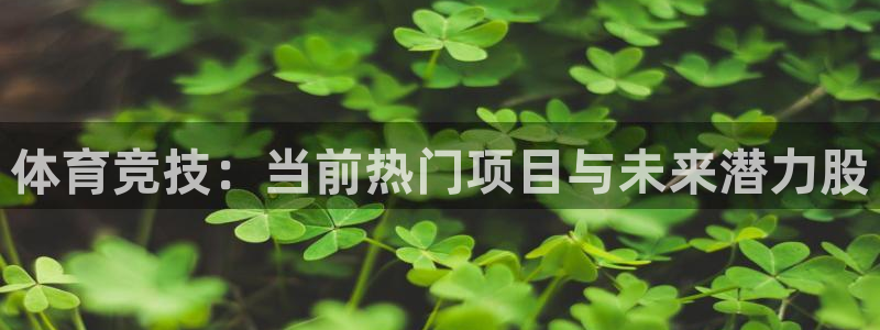 体育竞技：当前热门项目与未来潜力股